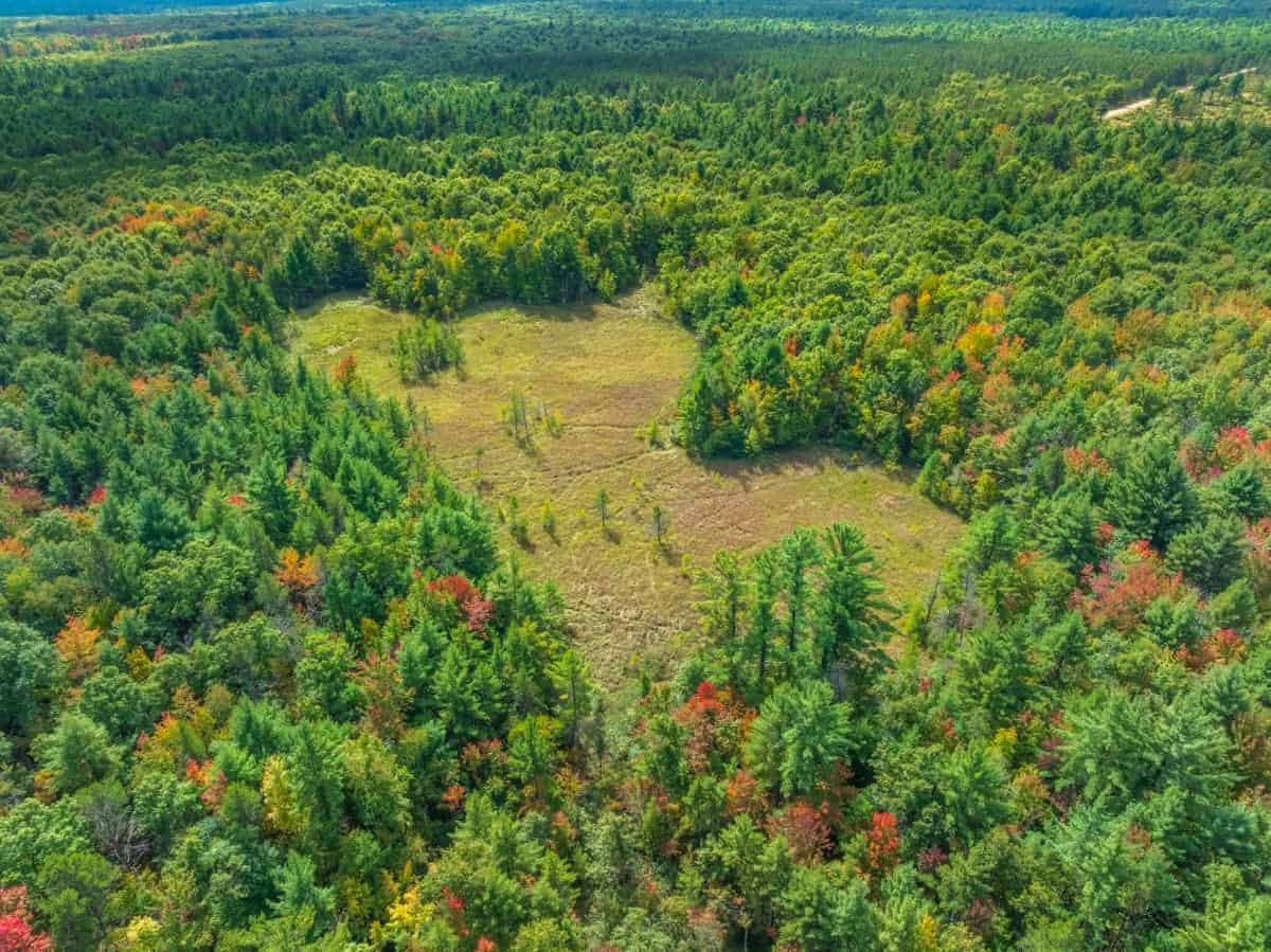 160+/- acres of Western Wisconsin hunting property Eau Claire Cty
