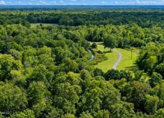 1979± Acre Hunting Plantation in White Castle, LA