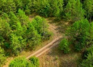 40± acres of timbered hunting and recreational land