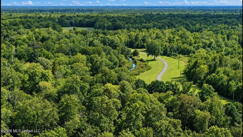 1979± Acre Hunting Plantation in White Castle, LA