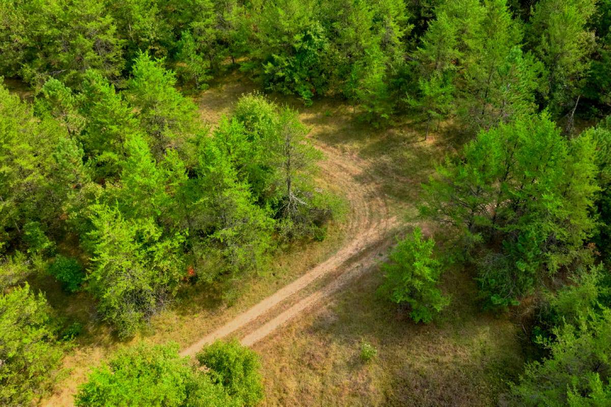 40± acres of timbered hunting and recreational land