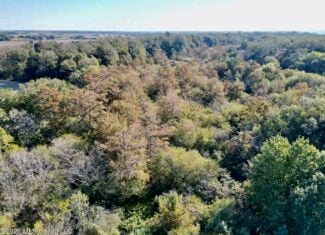 41.22 Acres MS Delta Duck Hunting