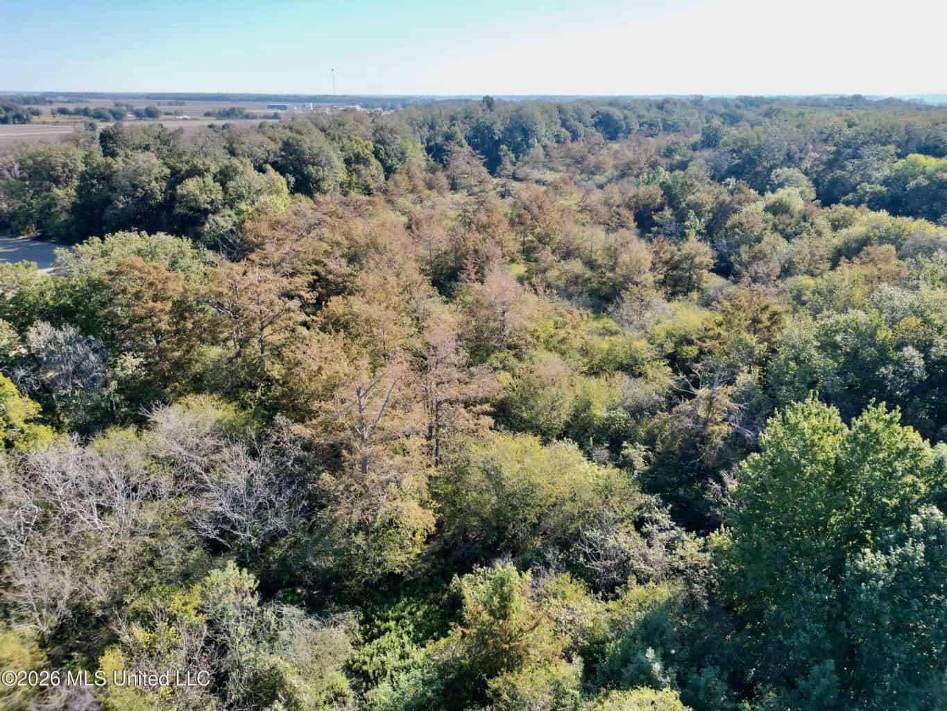 41.22 Acres MS Delta Duck Hunting