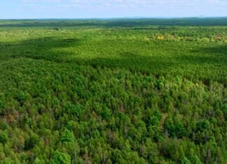 43 +/- Acres Augusta Wisconsin