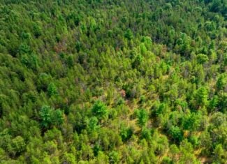 40± acres of timbered recreational land Augusta WI