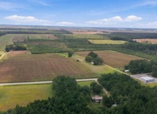 309-Acre Farm & Timberland for Sale in Beaufort County, NC