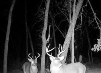 Turnkey 28± Acre Hunting Property Near Melrose, Wisconsin