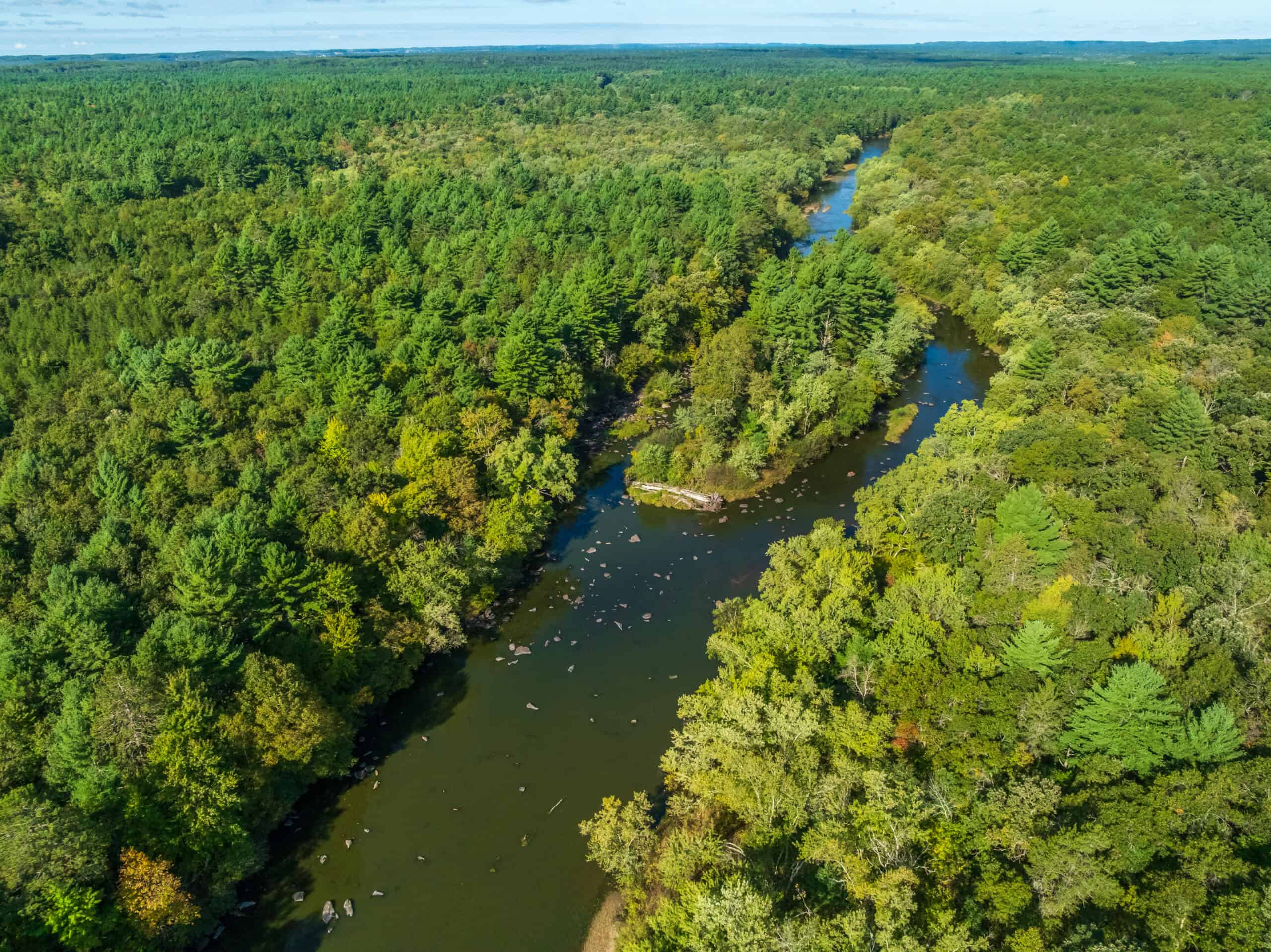 369± acres of premier recreational and hunting land in Eau Claire County