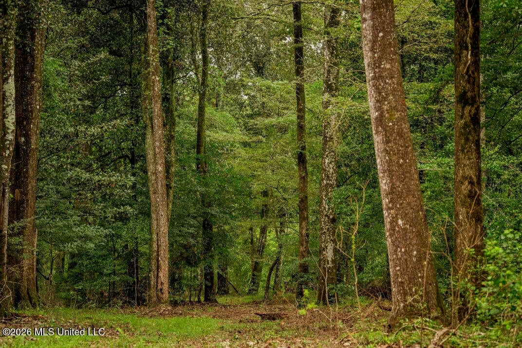 900 Acres for Sale – Hunter’s Paradise South Mississippi