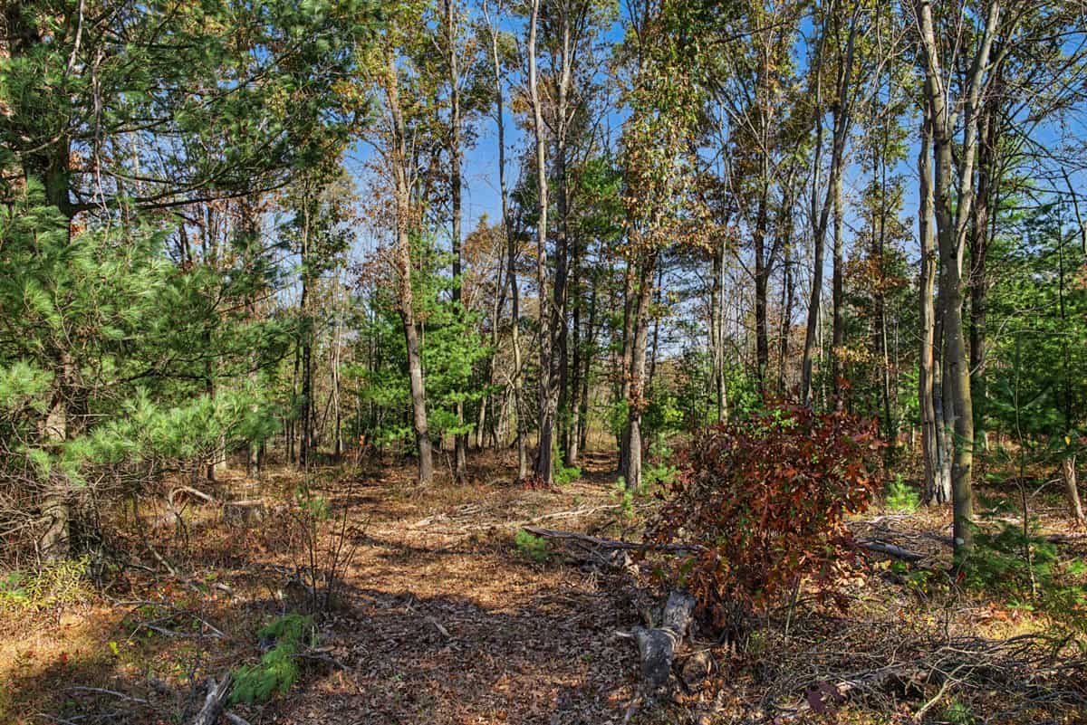 28± Acre Hunting Property with Cabin | Monroe County, Wisconsin