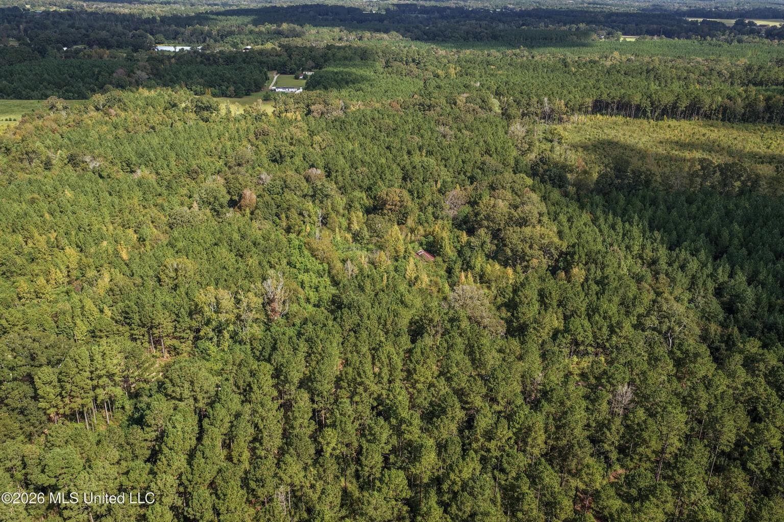 19.7+/- Acres of Wooded Land for Sale in Magnolia, MS