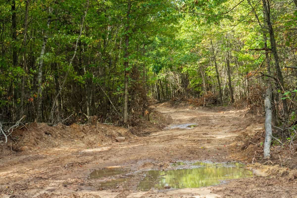 204.74± acres of premier recreational and hunting land in Eau Claire County