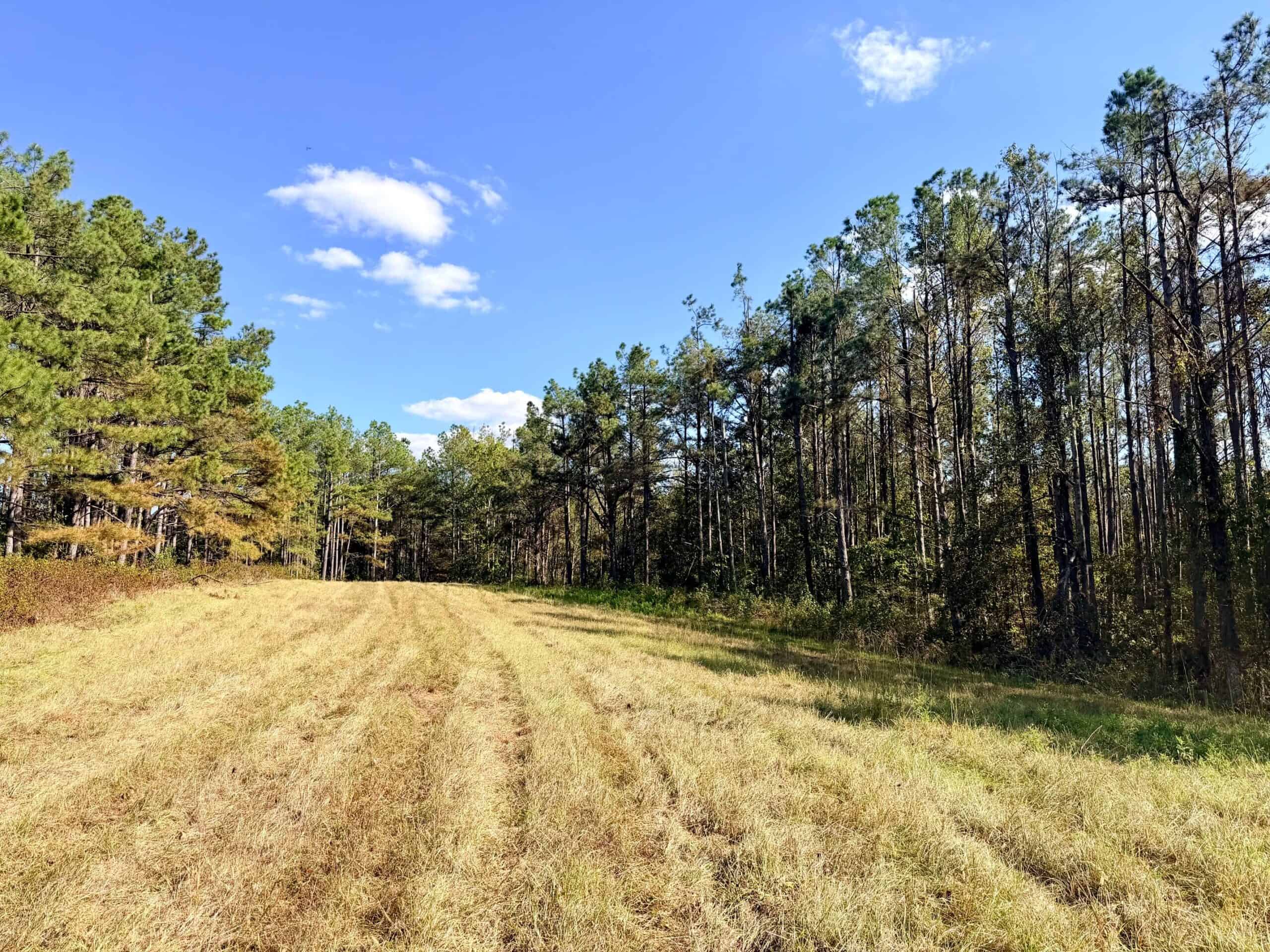Farm, Breathtaking Home Site, INCREDIBLE Views, Tippah Co., MS