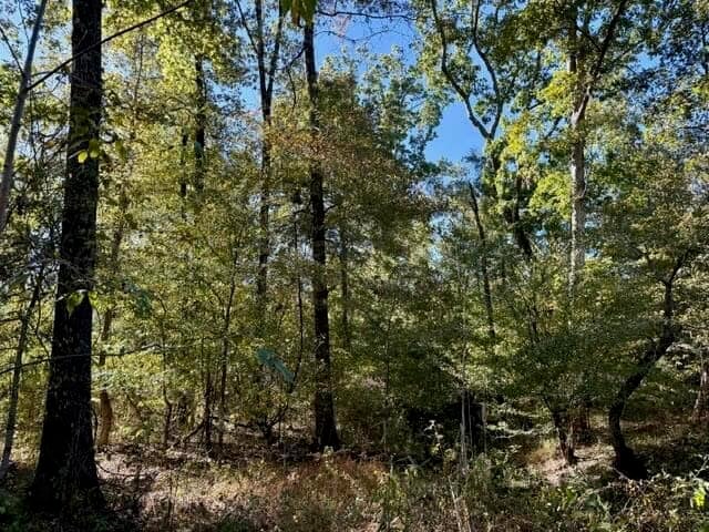 63 Acres Land For Sale Near Starkville MS