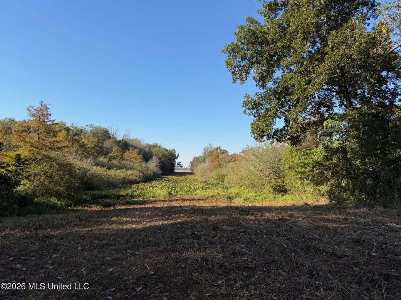 41.22 Acres MS Delta Duck Hunting