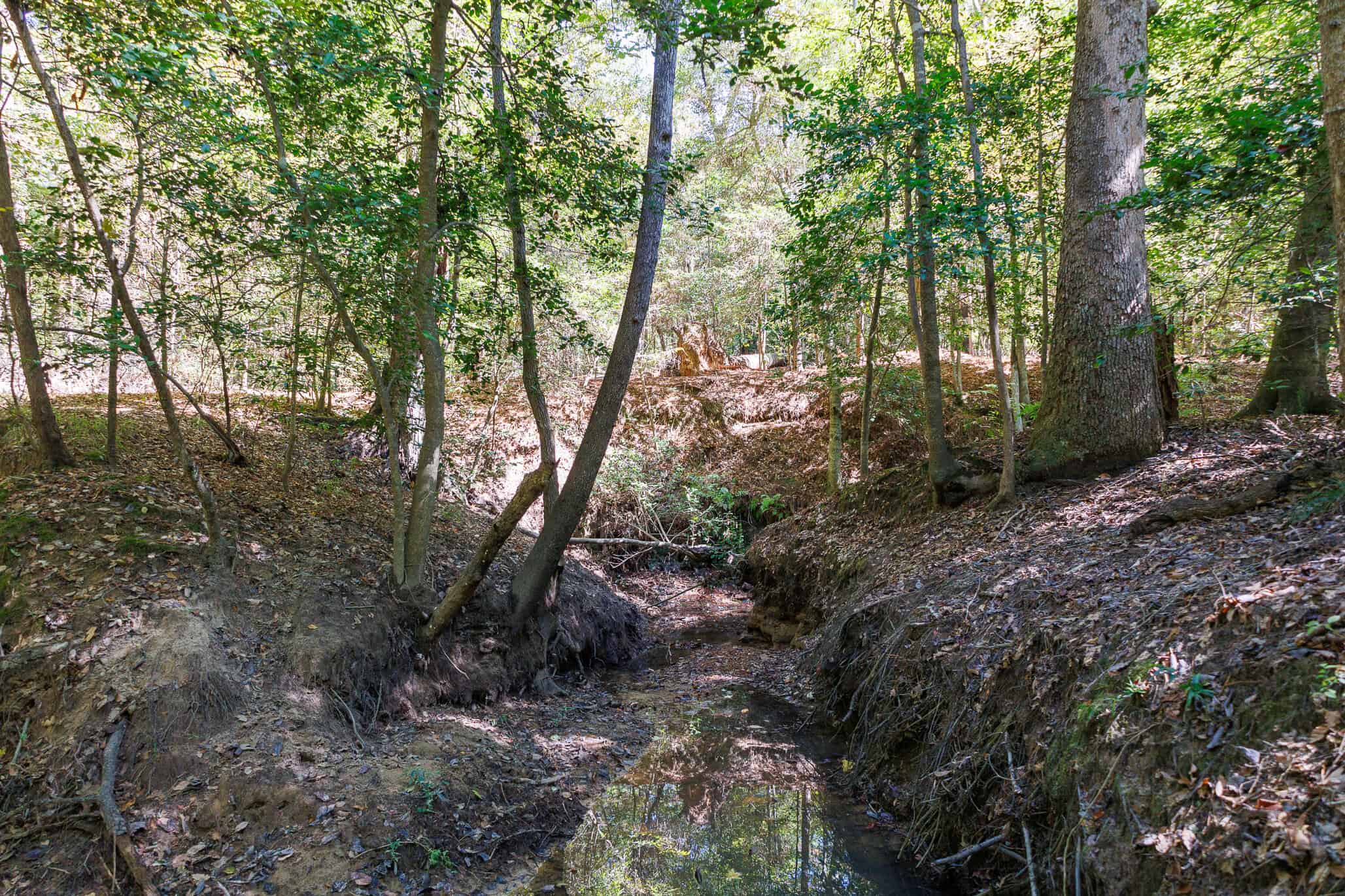 East Texas Recreational Land for Sale Gilmer TX Upshur County | Hunt & Timber
