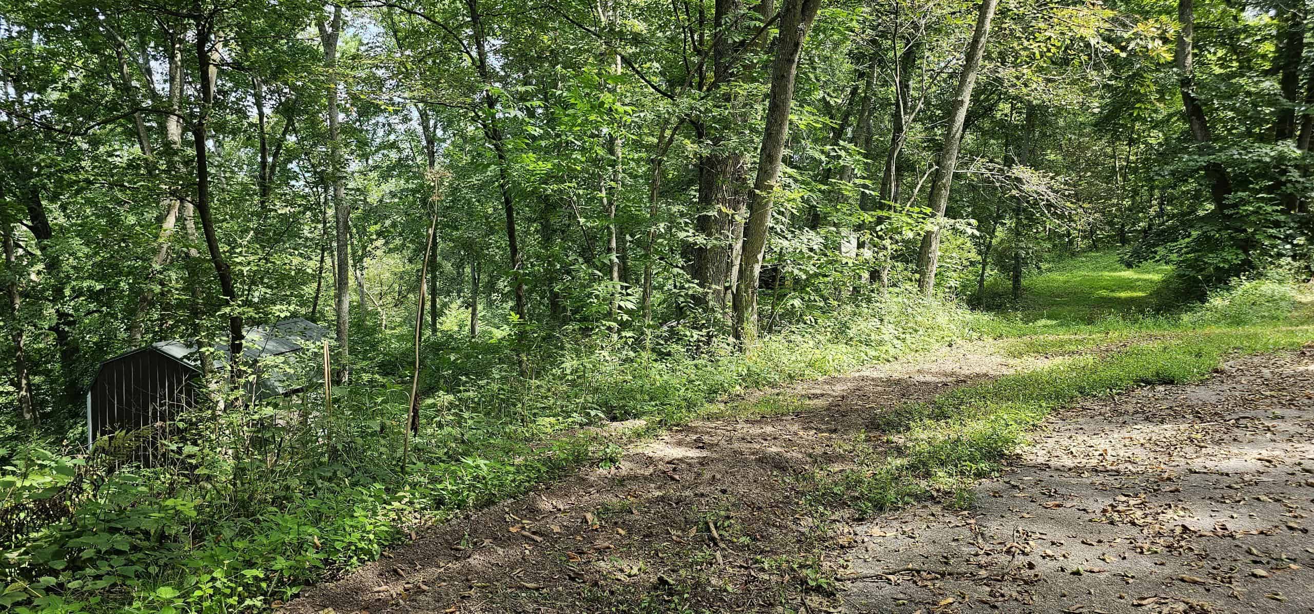 Driftless Area trout fishing and hunting retreat with a rustic log cabin, for sale Richland County WI
