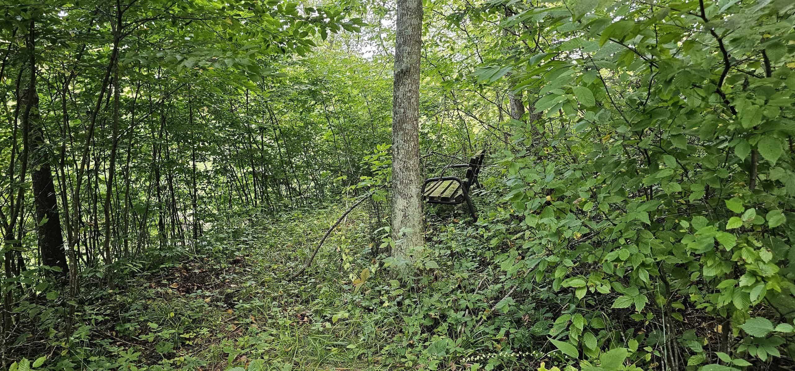 Driftless Area trout fishing and hunting retreat with a rustic log cabin, for sale Richland County WI