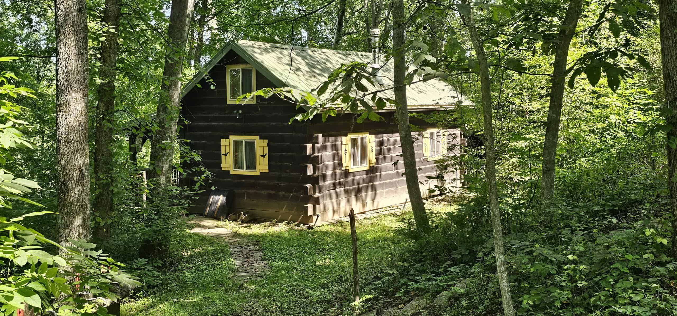 Driftless Area trout fishing and hunting retreat with a rustic log cabin, for sale Richland County WI