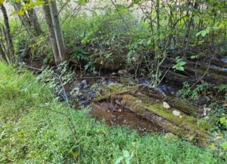 Land with Pond, Willis VA