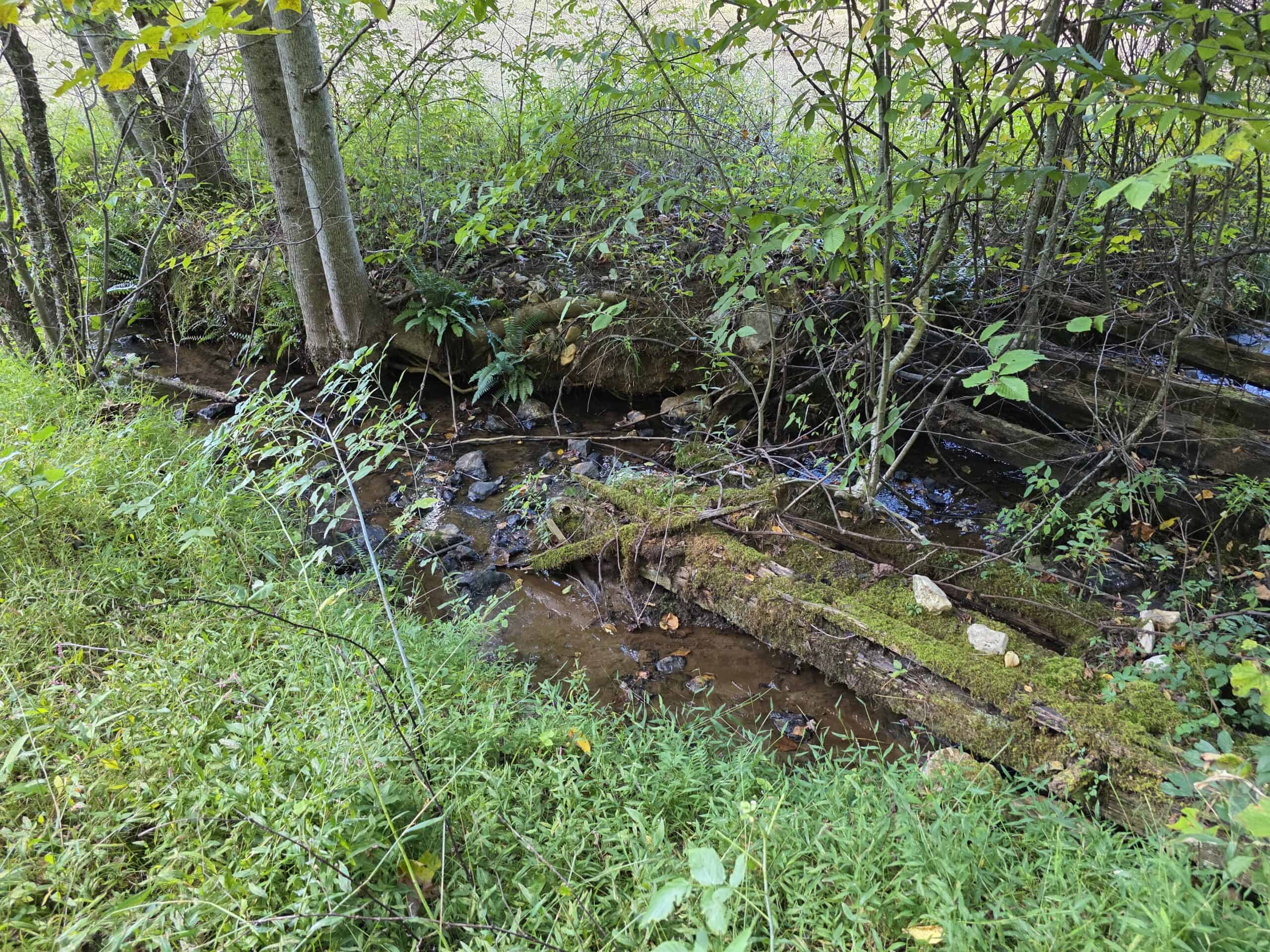 Land with Pond, Willis VA