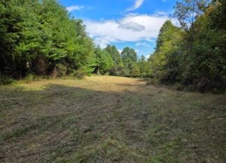 Land with Pond, Willis VA