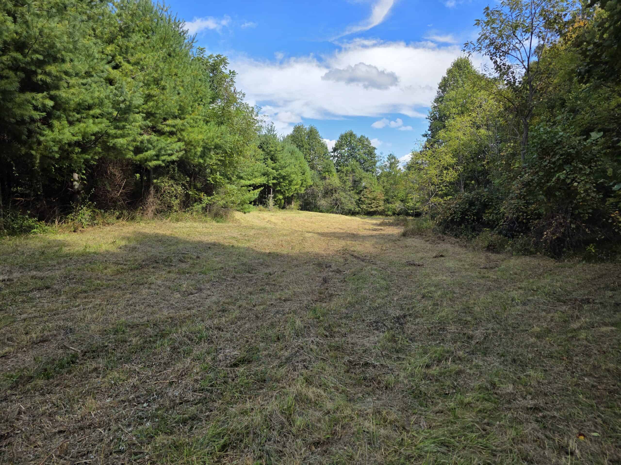 Land with Pond, Willis VA