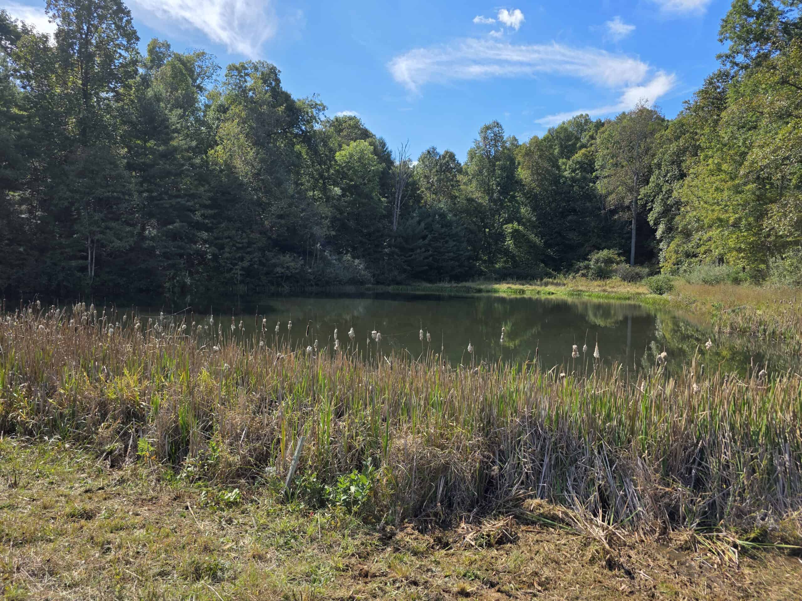 Land with Pond, Willis VA