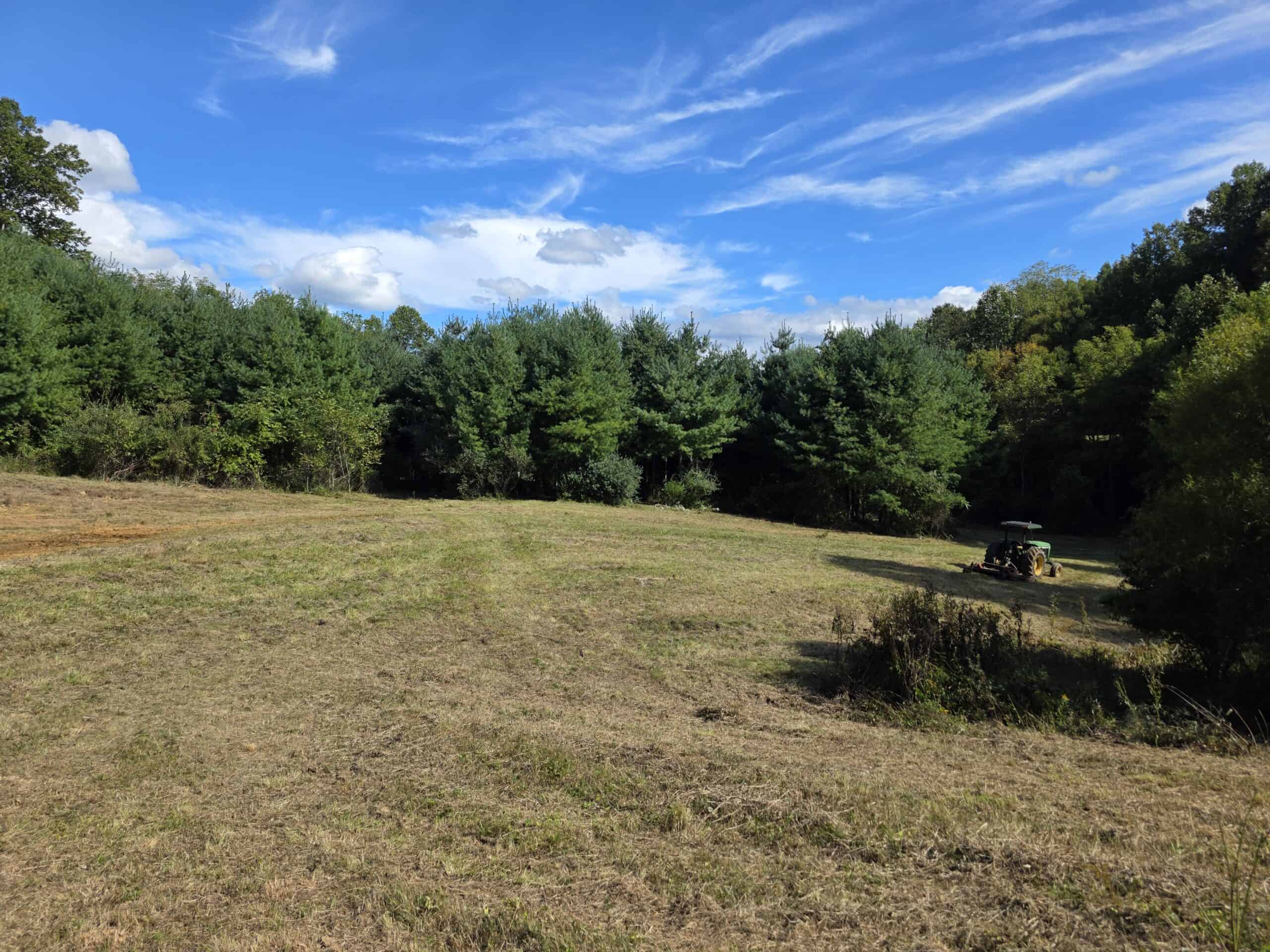 Land with Pond, Willis VA