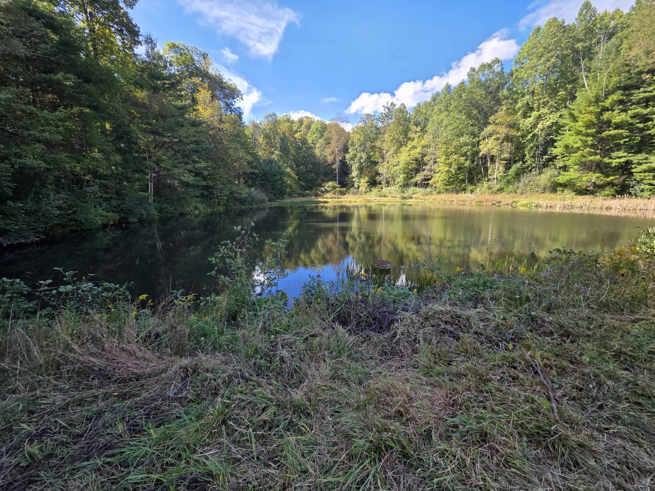 Land with Pond, Willis VA