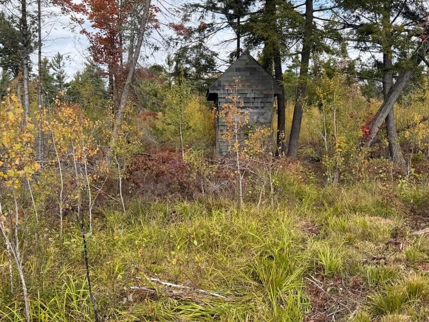120-Acre Northern Michigan Hunting Retreat with Turnkey Cabin in Hillman MI