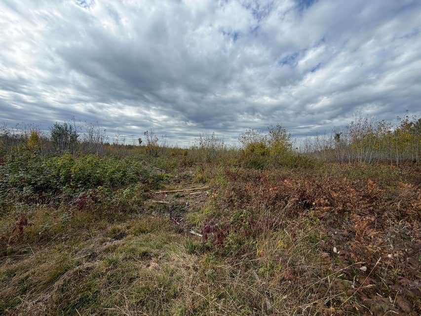 120-Acre Northern Michigan Hunting Retreat with Turnkey Cabin in Hillman MI
