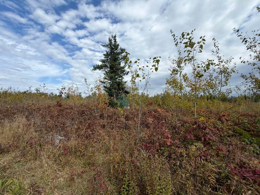120-Acre Northern Michigan Hunting Retreat with Turnkey Cabin in Hillman MI