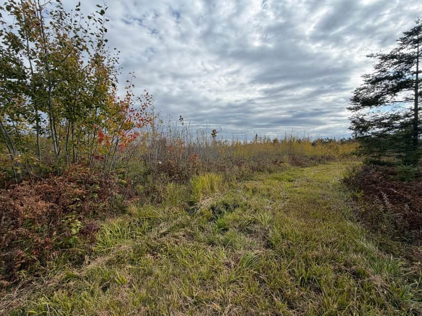 120-Acre Northern Michigan Hunting Retreat with Turnkey Cabin in Hillman MI