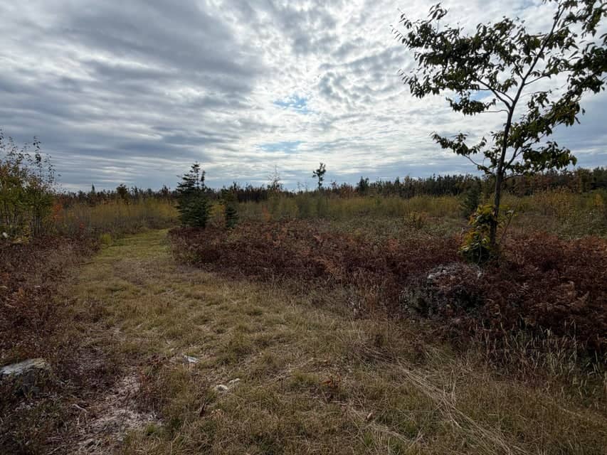 120-Acre Northern Michigan Hunting Retreat with Turnkey Cabin in Hillman MI