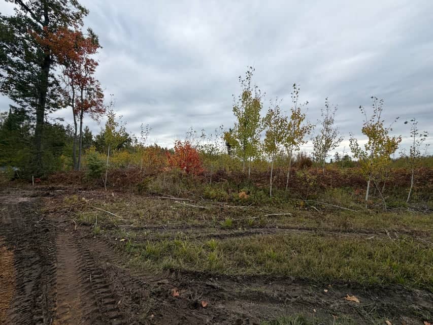 120-Acre Northern Michigan Hunting Retreat with Turnkey Cabin in Hillman MI