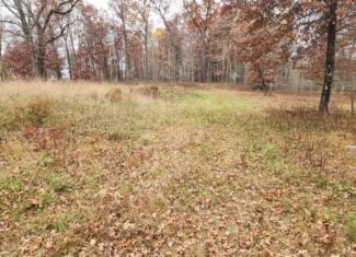 65 Acres in Adams WI to Hunt, Build and Camp
