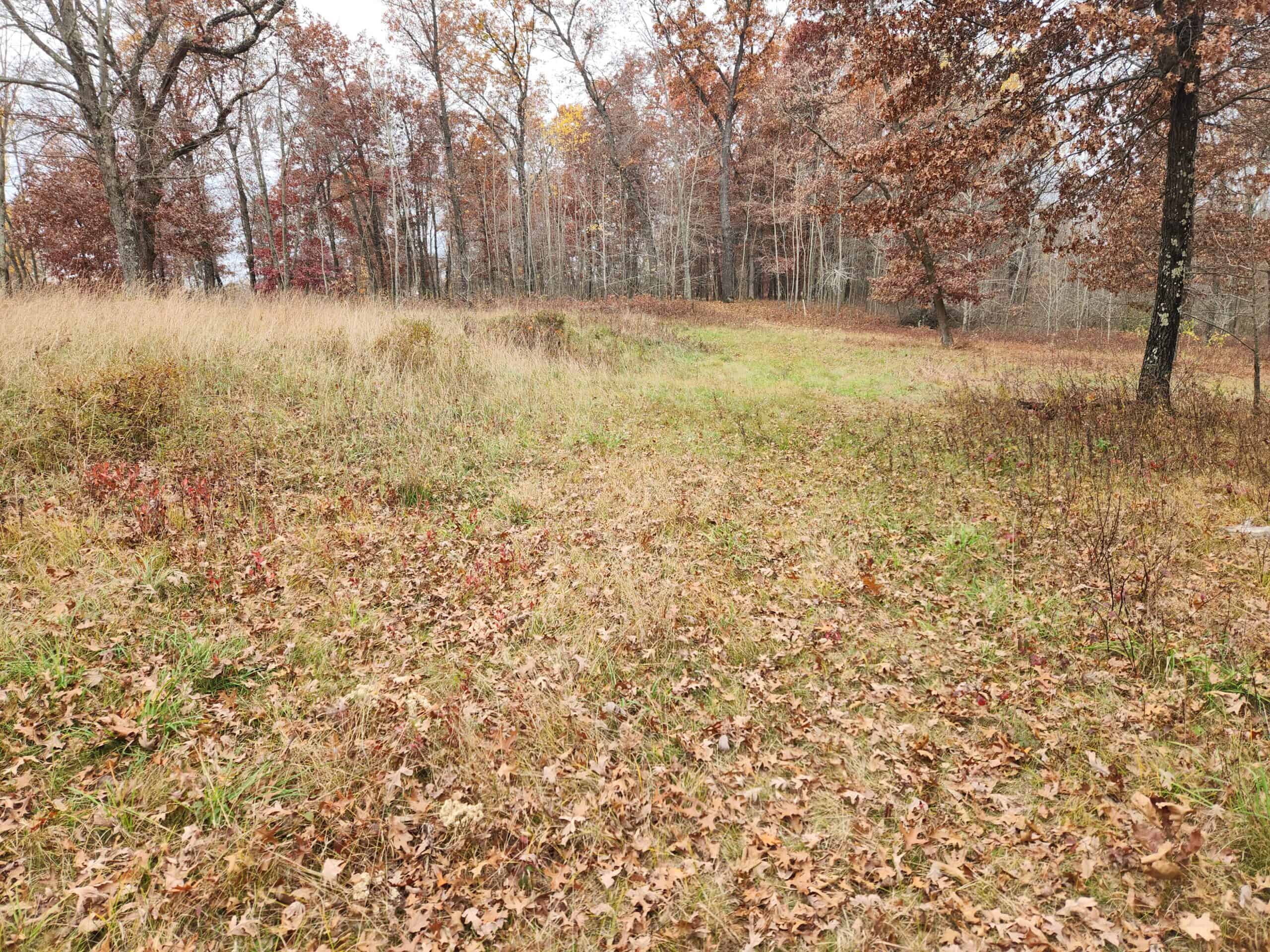 65 Acres in Adams WI to Hunt, Build and Camp