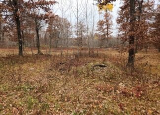 65 Acres in Adams WI to Hunt, Build and Camp