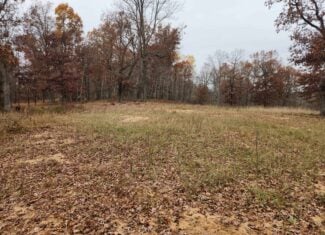 65 Acres in Adams WI to Hunt, Build and Camp
