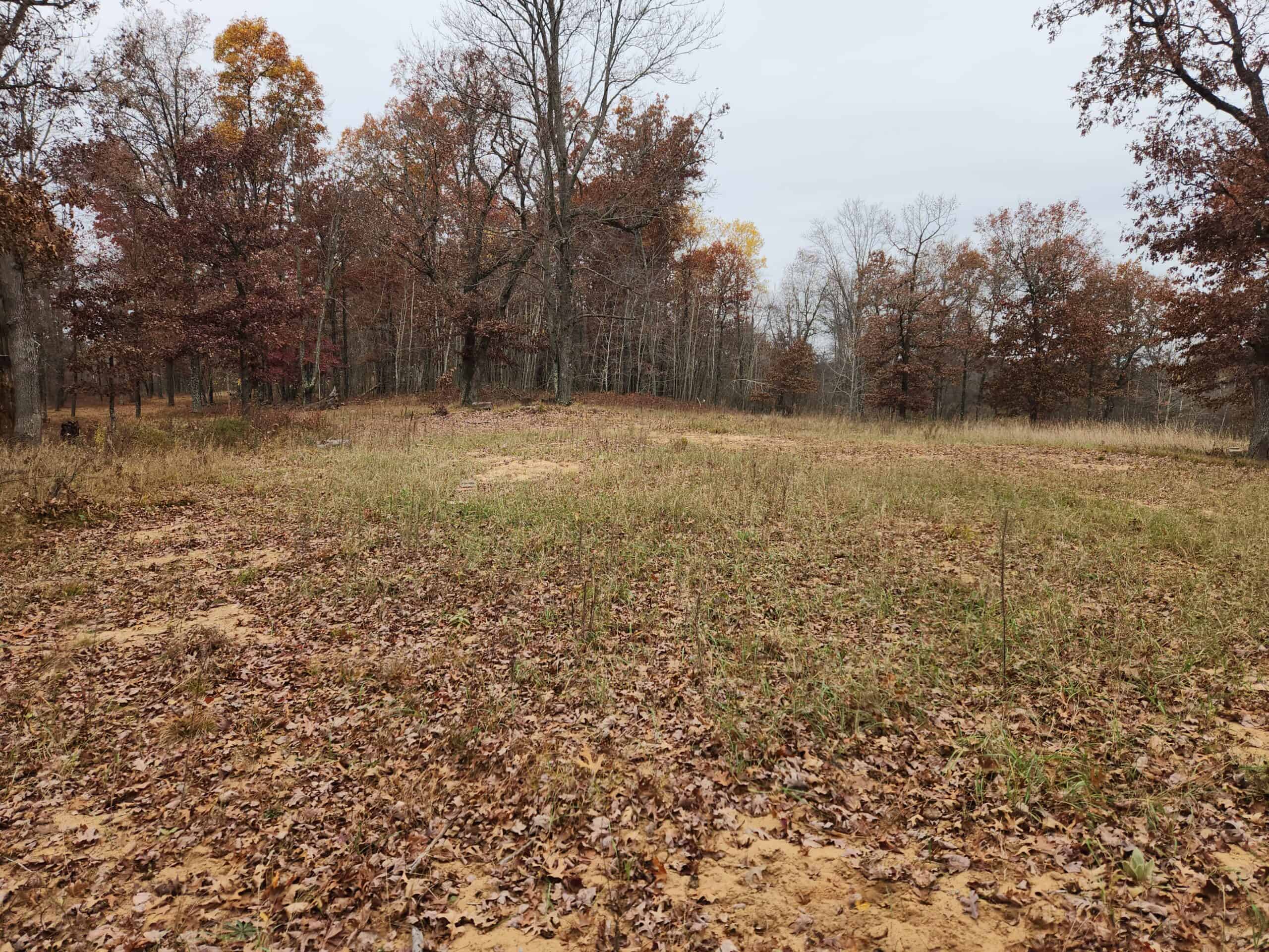 65 Acres in Adams WI to Hunt, Build and Camp