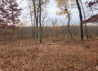 65 Acres in Adams WI to Hunt, Build and Camp