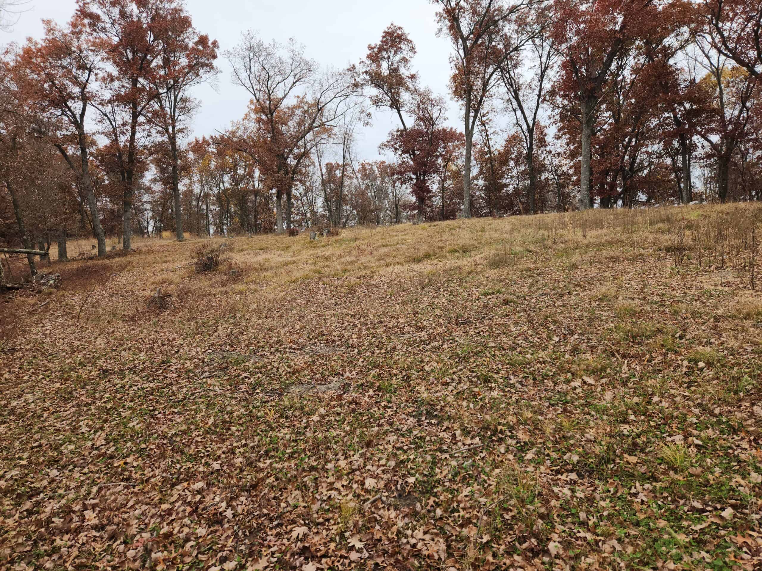 65 Acres in Adams WI to Hunt, Build and Camp