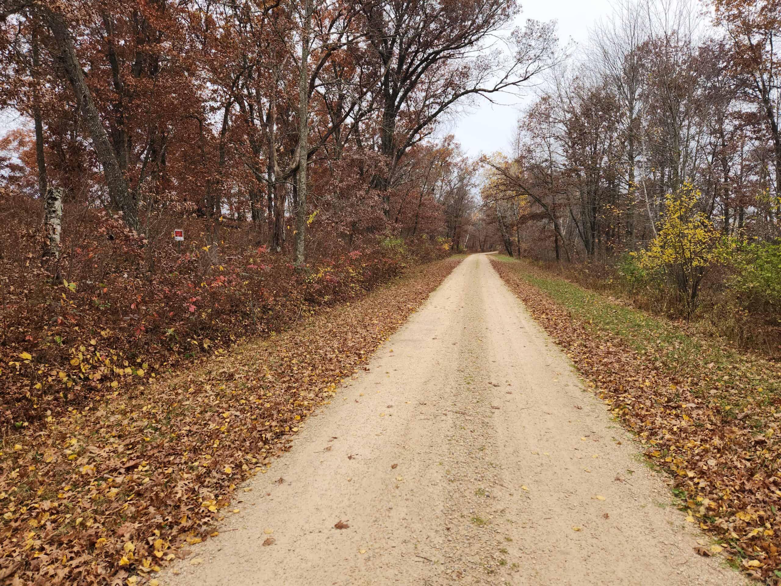 65 Acres in Adams WI to Hunt, Build and Camp