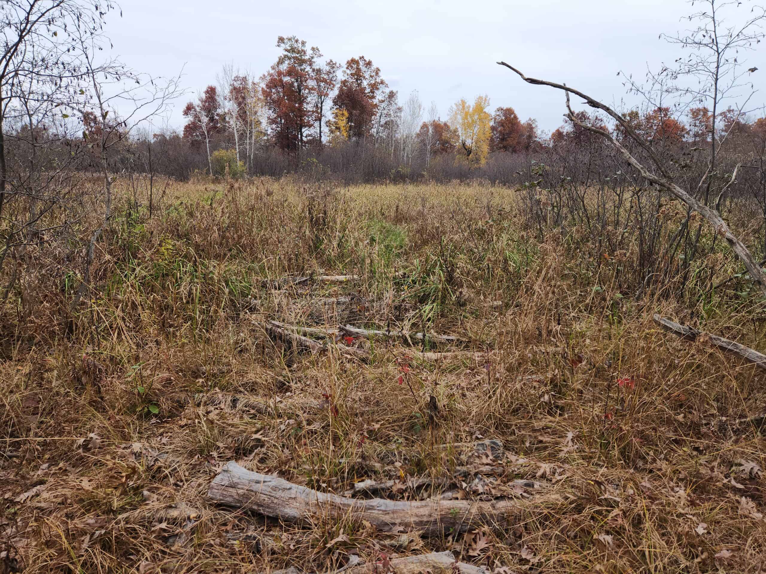 65 Acres in Adams WI to Hunt, Build and Camp