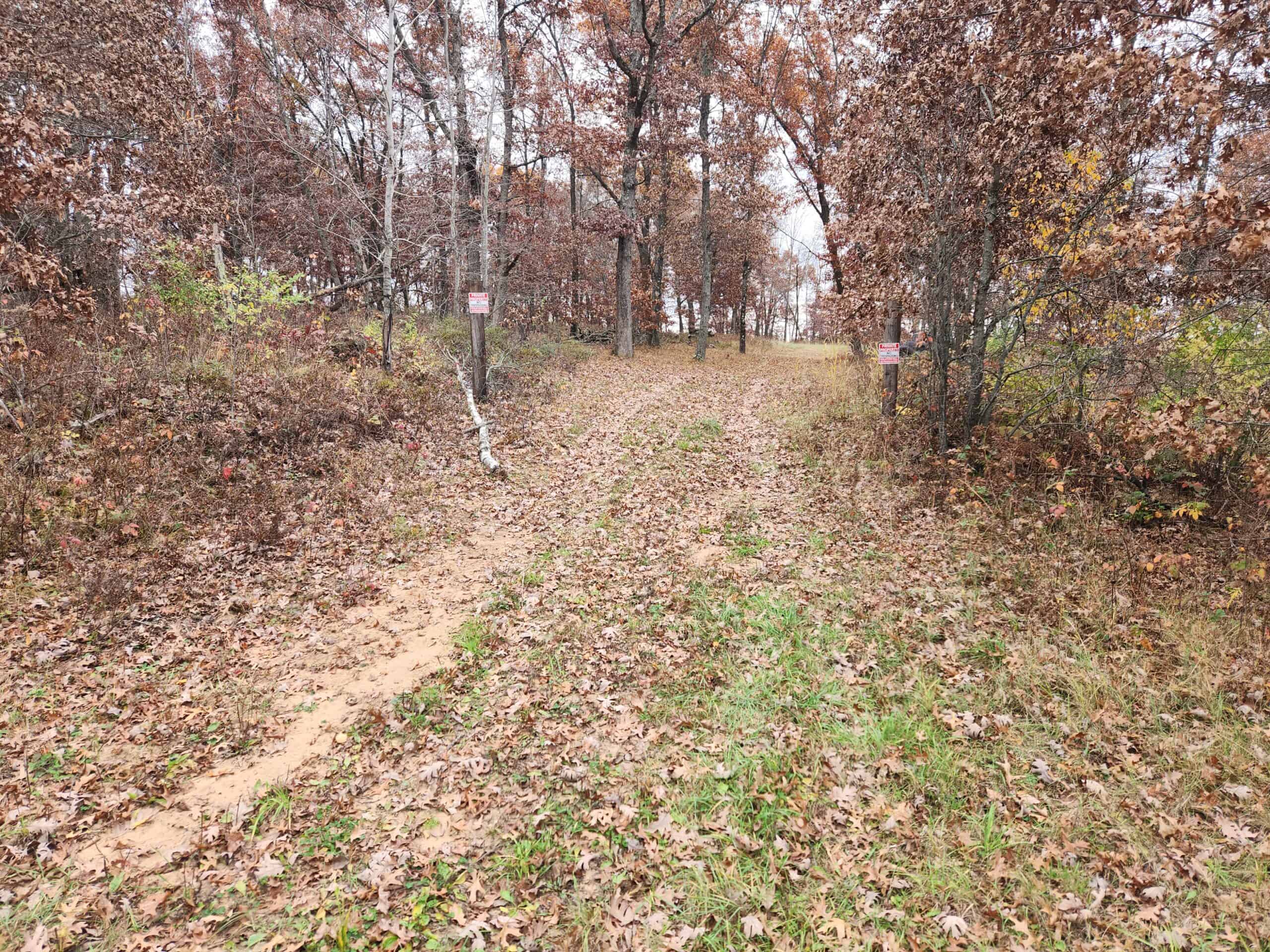 65 Acres in Adams WI to Hunt, Build and Camp