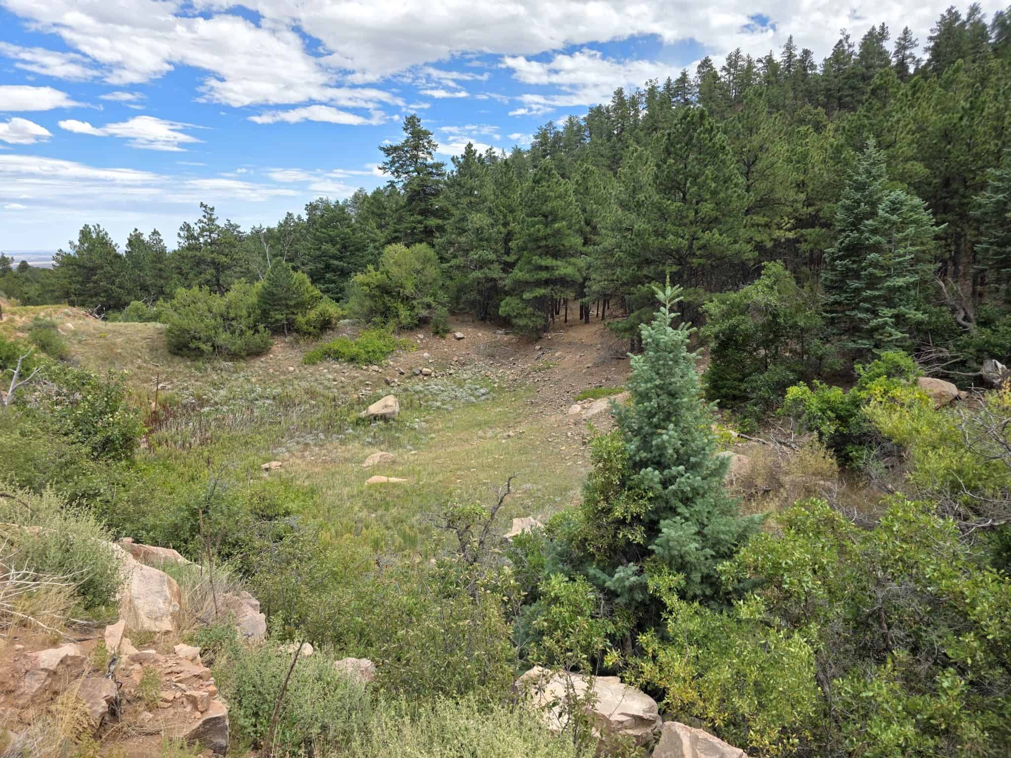 170.68 ± Acre Hunting Ranch by National Forest | Florence, CO