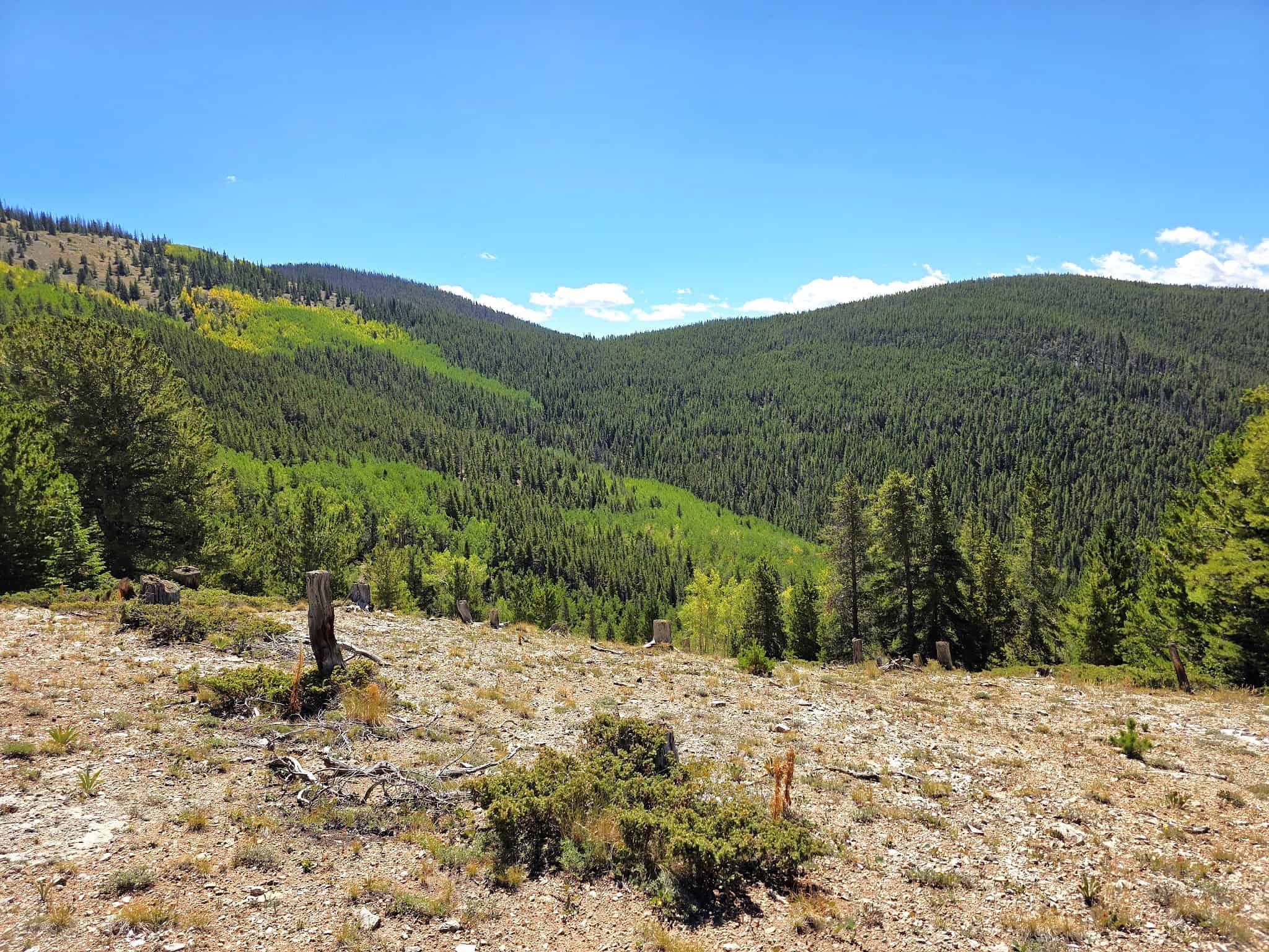 140 ± Acre Mountain Property for Sale in Whitepine, Colorado