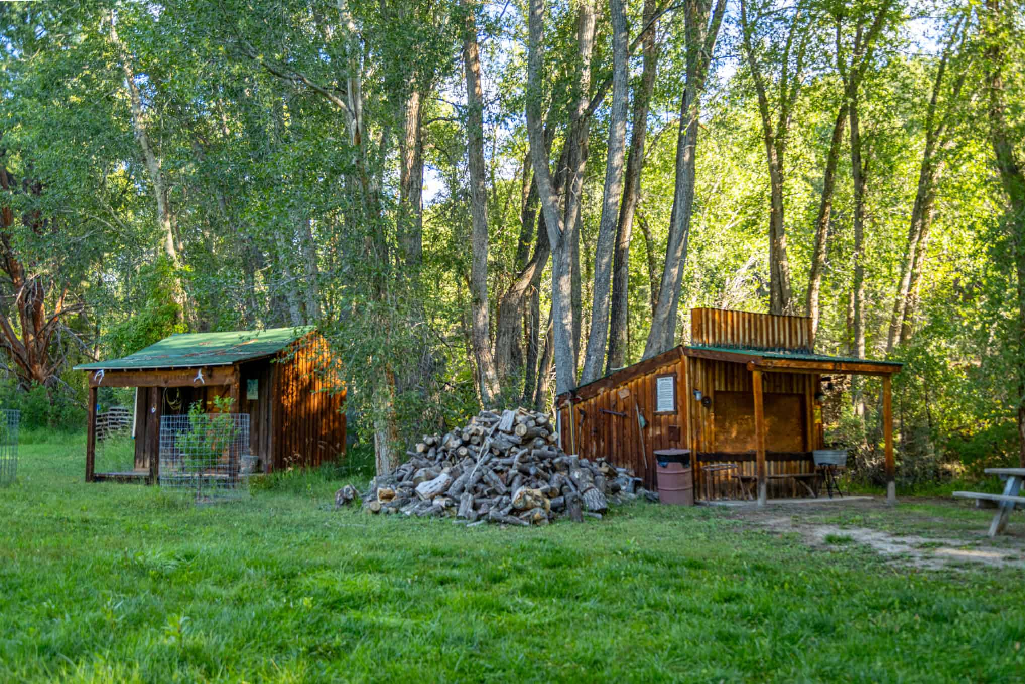 192 ± Acre Ranch for Sale in Salida, CO with Water Rights