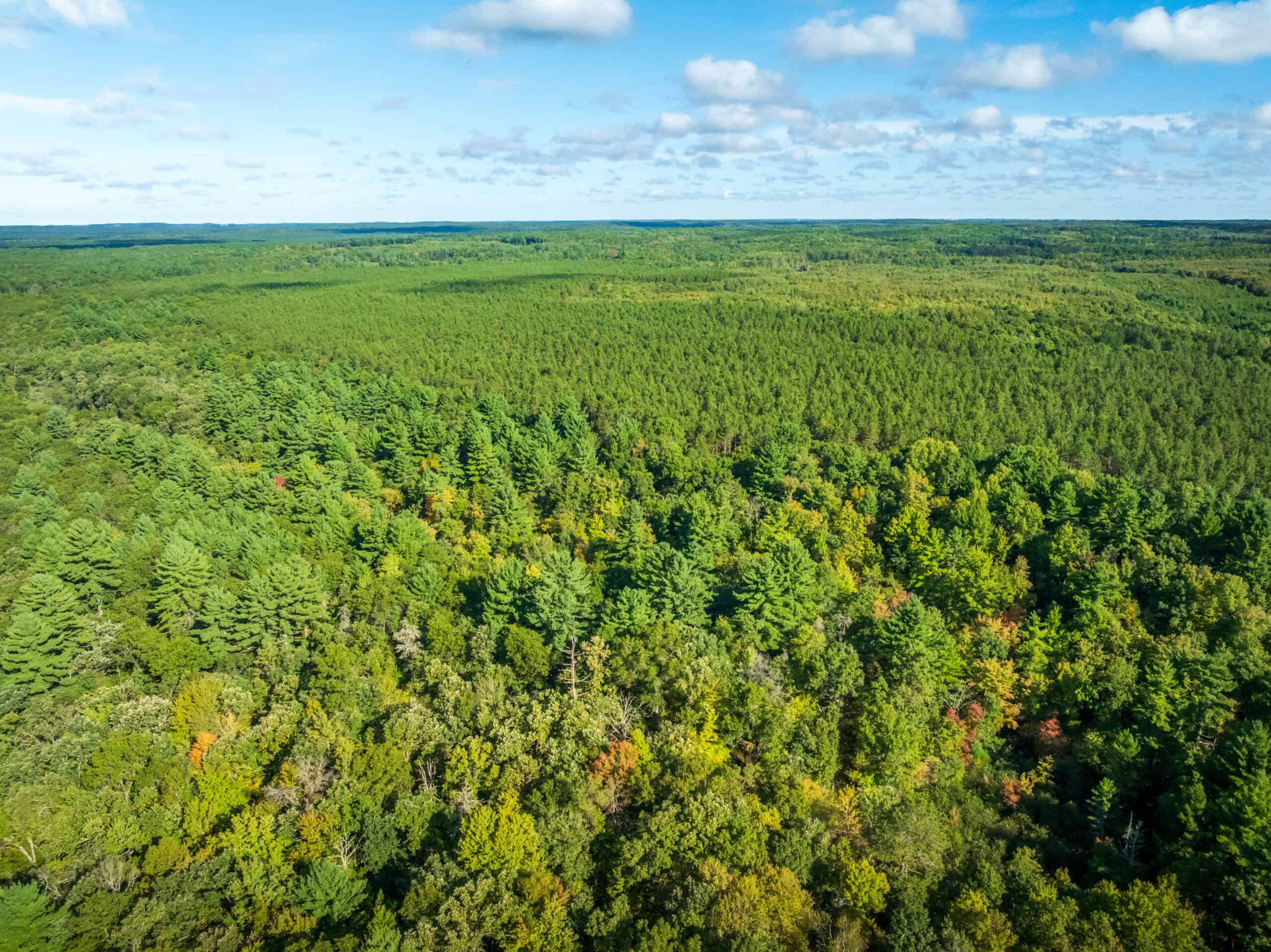 369± acres of premier recreational and hunting land in Eau Claire County